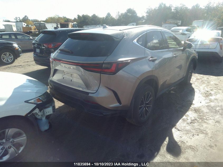 2023 Lexus Nx Nx 350H VIN: 2T2GKCEZ1PC011618 Lot: 11835694