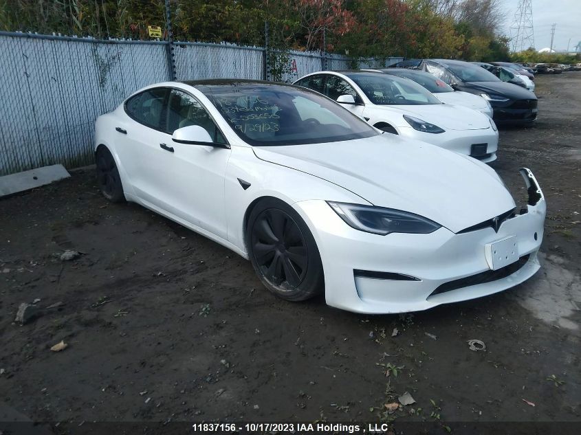 2023 Tesla Model S VIN: 5YJSA1E55PF503650 Lot: 11837156