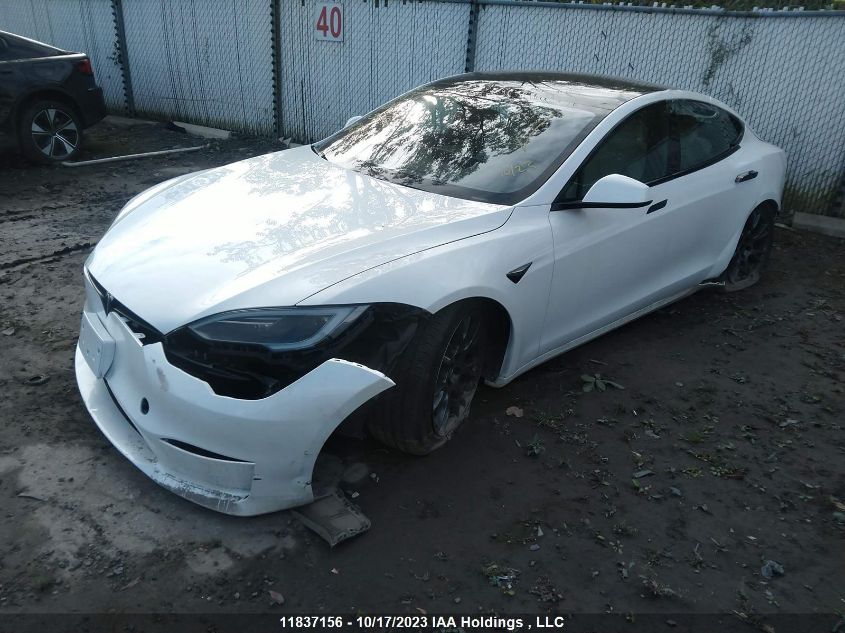 2023 Tesla Model S VIN: 5YJSA1E55PF503650 Lot: 11837156