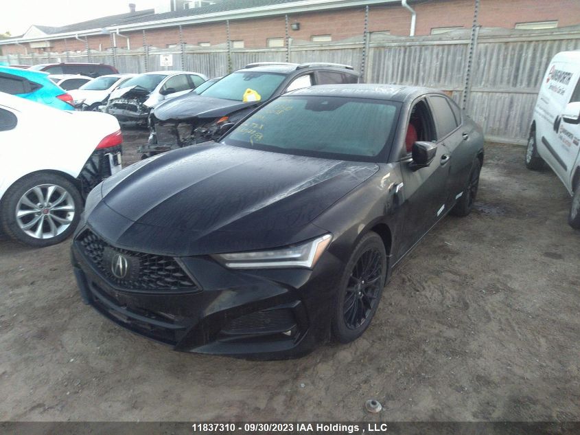 2022 Acura Tlx A-Spec VIN: 19UUB6F51NA800178 Lot: 11837310