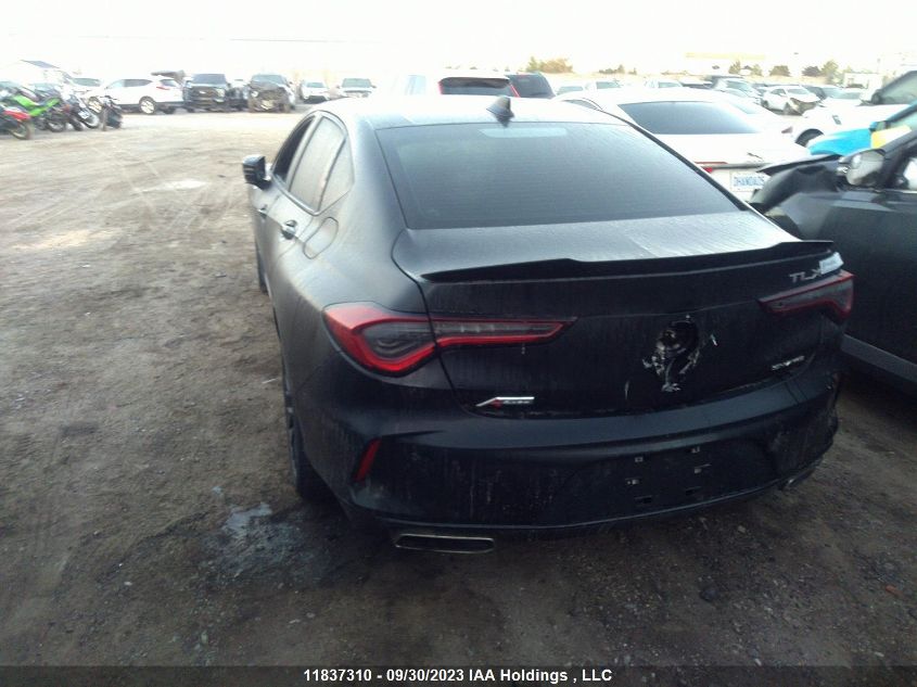 2022 Acura Tlx A-Spec VIN: 19UUB6F51NA800178 Lot: 11837310