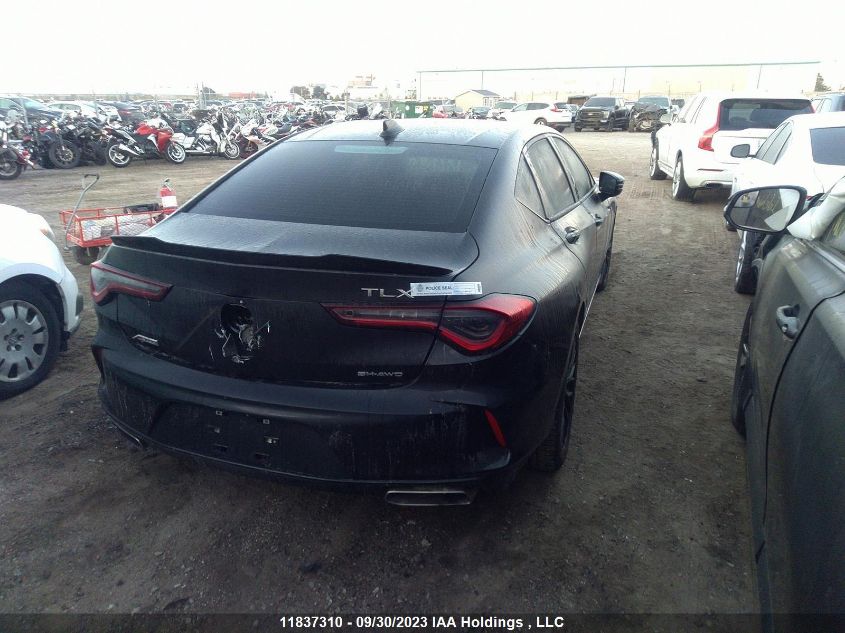 2022 Acura Tlx A-Spec VIN: 19UUB6F51NA800178 Lot: 11837310