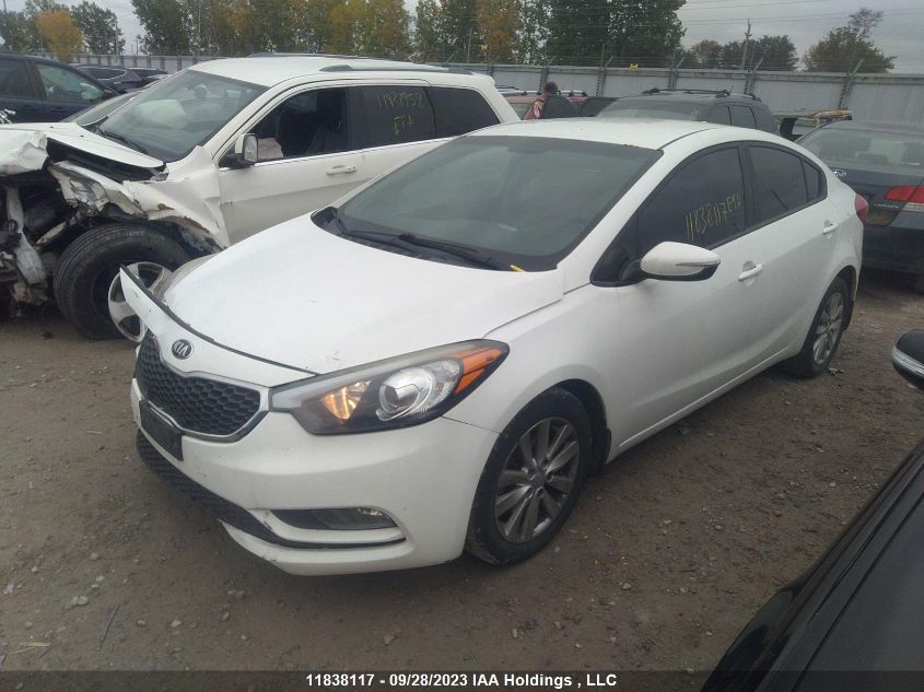 2014 Kia Forte Lx/Lx+/Se VIN: KNAFX4A67E5143258 Lot: 11838117