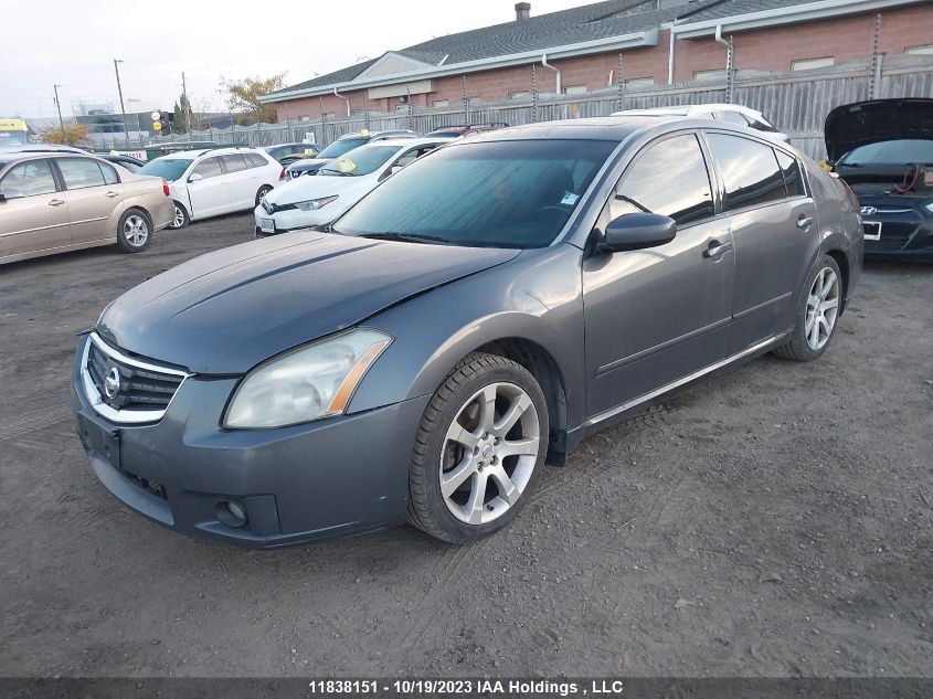 2007 Nissan Maxima VIN: 1N4BA41E57C808186 Lot: 11838151