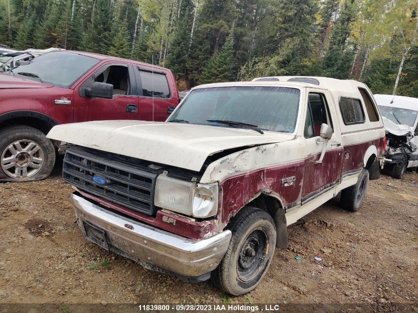 1988 Ford F150 VIN: 2FTDF15Y3JCA05241 Lot: 11839800