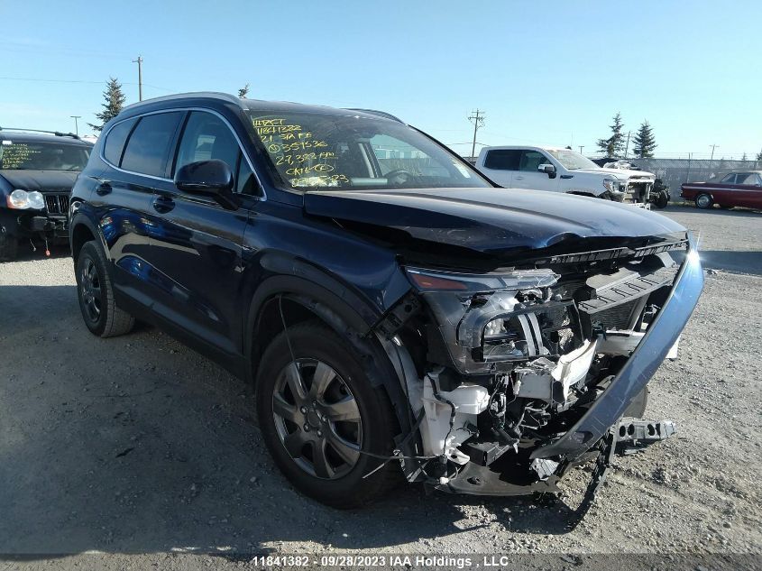 2021 Hyundai Santa Fe Essential VIN: 5NMS2DAJ4MH359536 Lot: 11841382