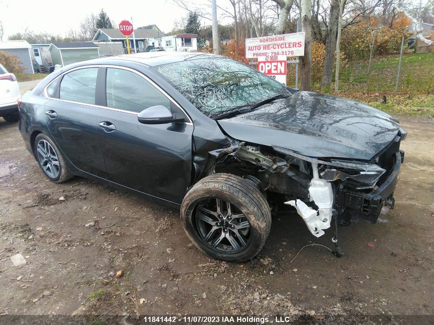 2023 Kia Forte Ex/Ex+/Ex Premium/Gt-Line VIN: 3KPF34AD1PE557611 Lot: 11841442