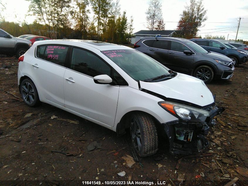 2014 Kia Forte 5-Door Ex VIN: KNAFX5A86E5209158 Lot: 11841549