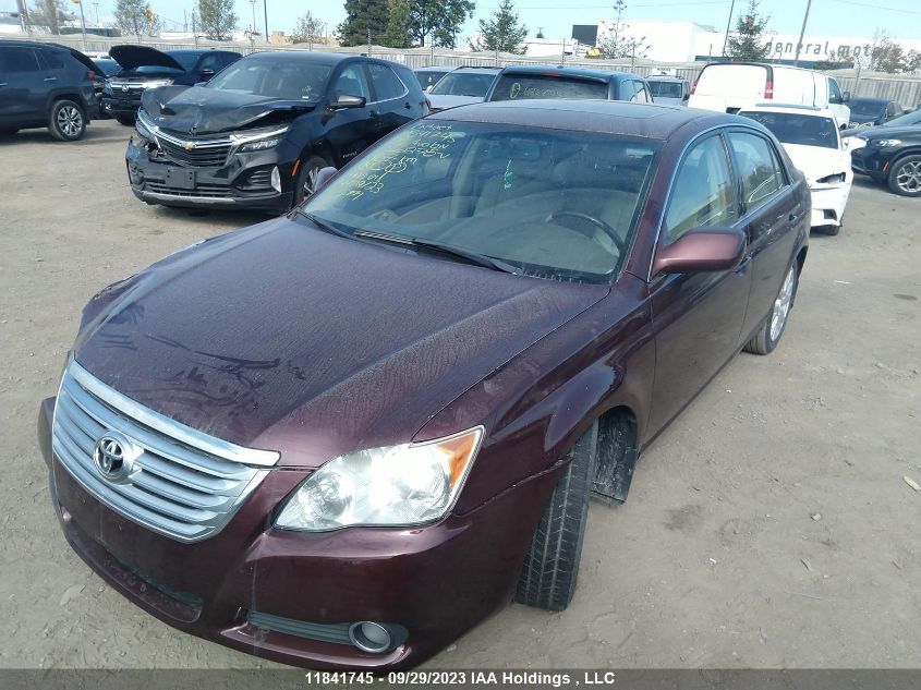 2008 Toyota Avalon VIN: 4T1BK36B18U302278 Lot: 11841745