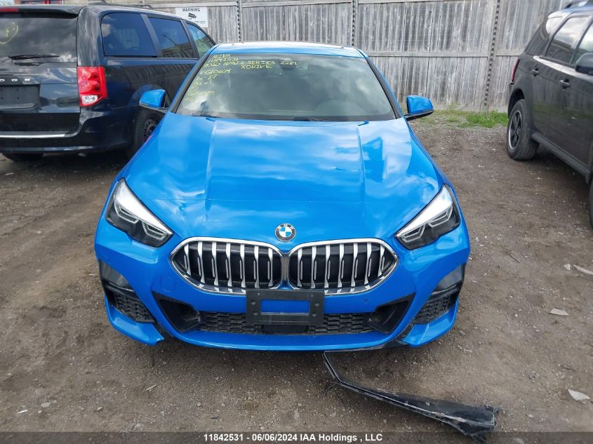 2020 BMW 2 Series 228I xDrive VIN: WBA73AK06L7G10604 Lot: 11842531