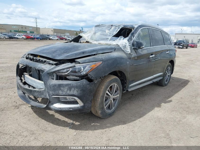 2019 Infiniti Qx60 Pure VIN: 5N1DL0MM0KC508018 Lot: 11843266