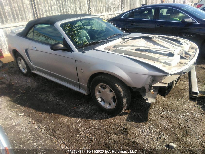 2000 Ford Mustang VIN: 1FAFP4449YF228197 Lot: 11843791