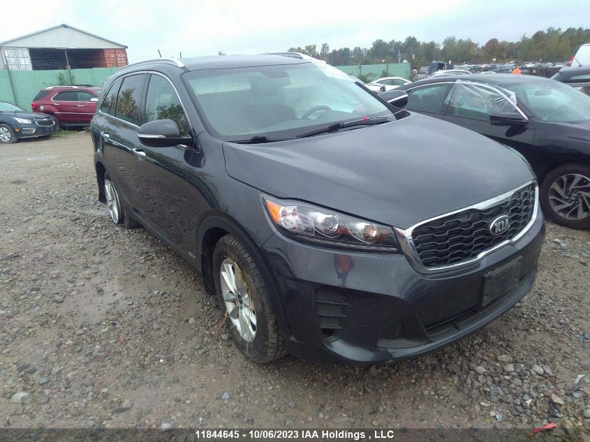 2019 Kia Sorento VIN: 5XYPGDA33KG483538 Lot: 11844645