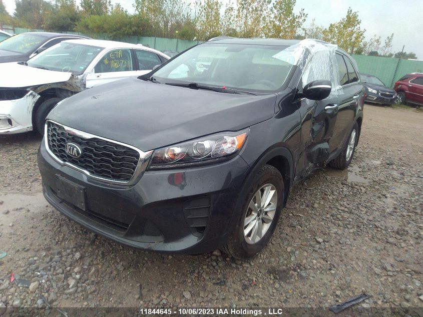 2019 Kia Sorento VIN: 5XYPGDA33KG483538 Lot: 11844645