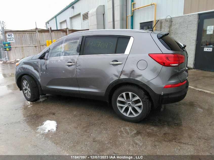 2014 Kia Sportage Ex VIN: KNDPCCAC2E7591558 Lot: 11847097