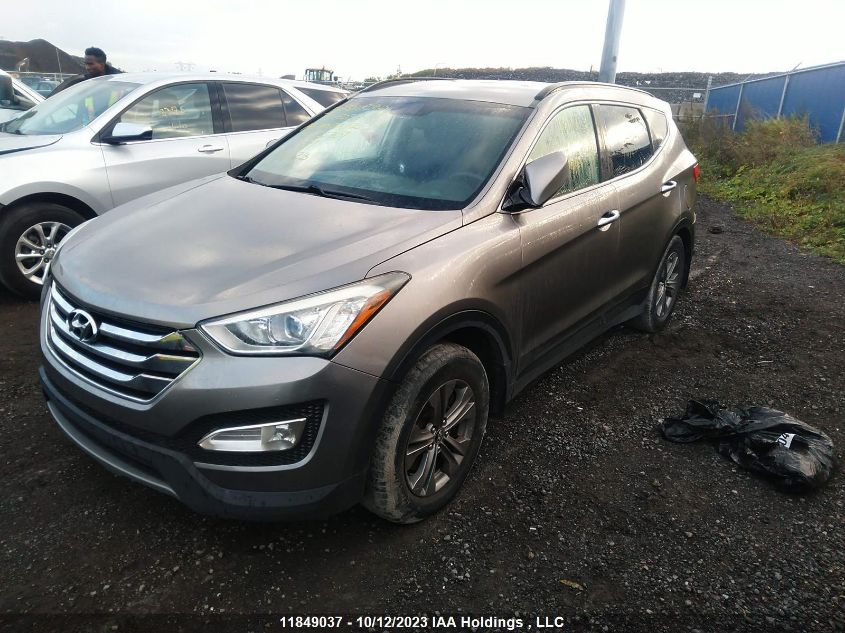 2014 Hyundai Santa Fe Sport Premium VIN: 5XYZUDLB1EG126739 Lot: 11849037