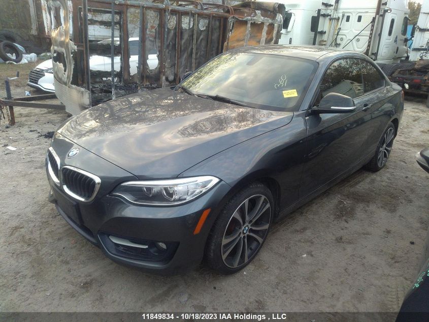 2015 BMW 2 Series 228I xDrive VIN: WBA1F7C53FV367339 Lot: 11849834