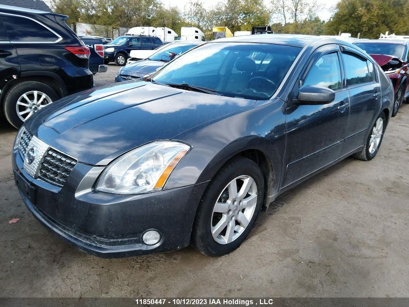 2005 Nissan Maxima 3.5 VIN: 1N4BA41E15C875042 Lot: 11850447