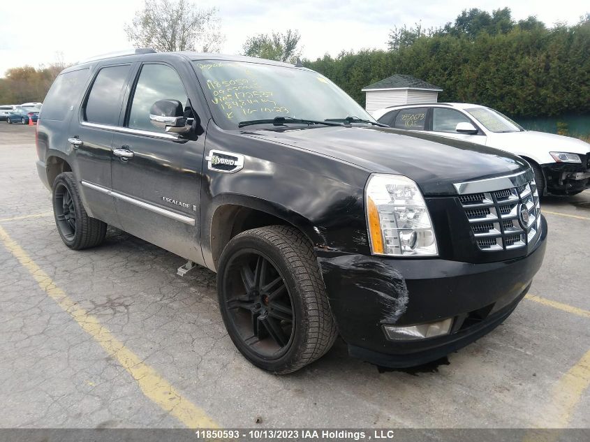 2009 Cadillac Escalade Hybrid VIN: 1GYFK43549R172537 Lot: 11850593