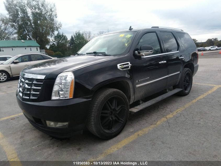 2009 Cadillac Escalade Hybrid VIN: 1GYFK43549R172537 Lot: 11850593