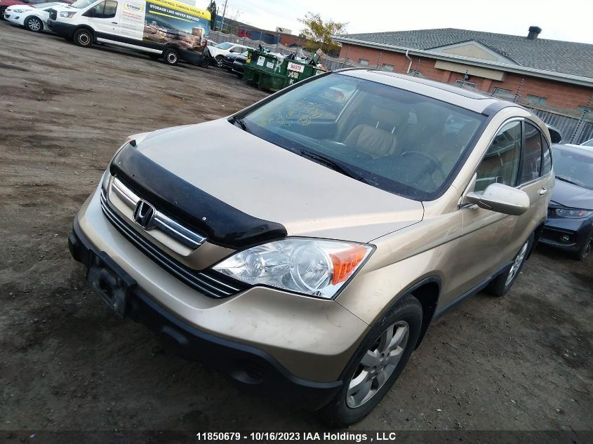 2009 Honda Cr-V Ex-L VIN: 5J6RE48799L802554 Lot: 11850679