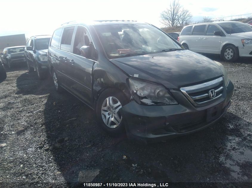 2007 Honda Odyssey Ex-L VIN: 5FNRL38697B512683 Lot: 11850987