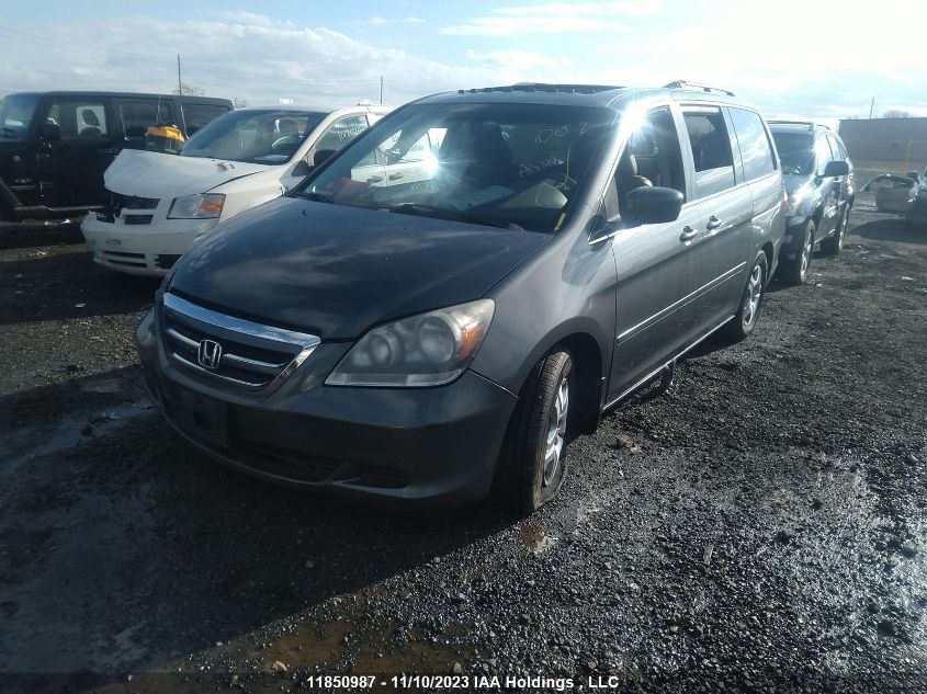 2007 Honda Odyssey Ex-L VIN: 5FNRL38697B512683 Lot: 11850987