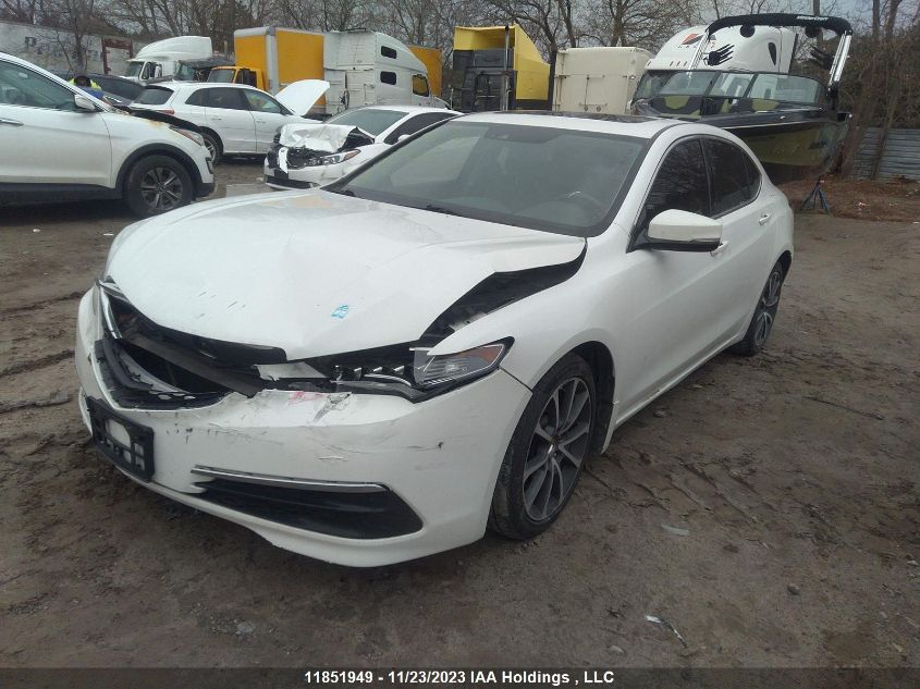 2015 Acura Tlx V6 Tech VIN: 19UUB3F52FA801646 Lot: 11851949