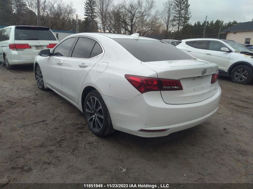 2015 Acura Tlx V6 Tech VIN: 19UUB3F52FA801646 Lot: 11851949