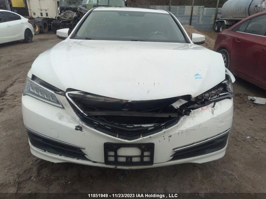 2015 Acura Tlx V6 Tech VIN: 19UUB3F52FA801646 Lot: 11851949