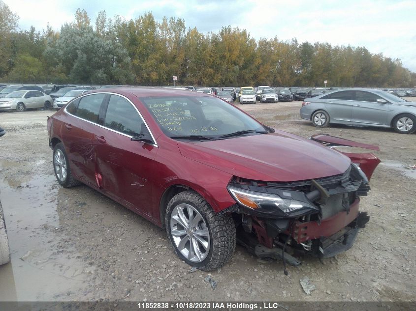 2019 Chevrolet Malibu VIN: 1G1ZD5ST8KF221063 Lot: 11852838