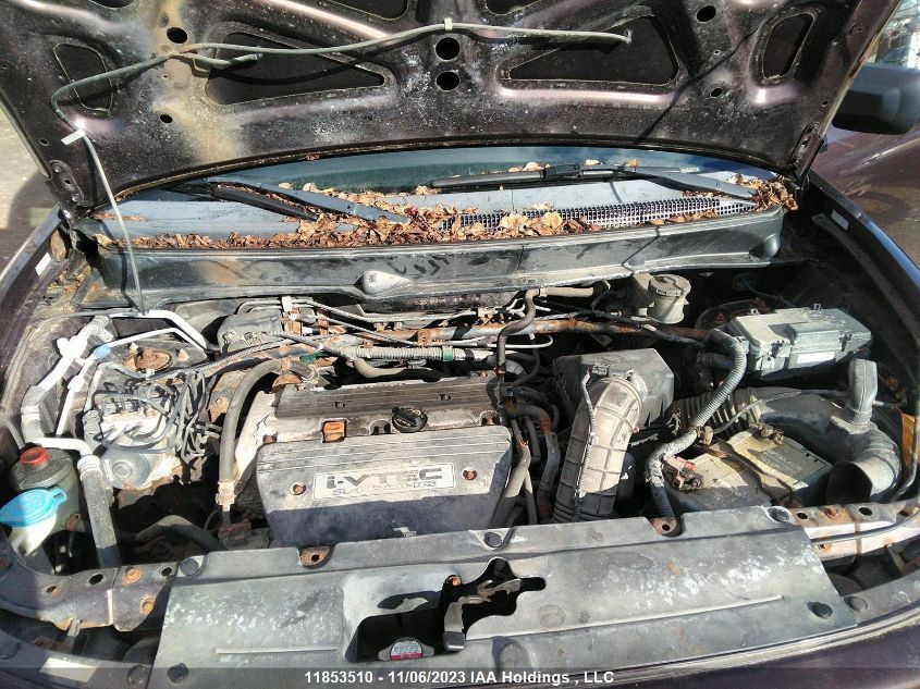 2007 Honda Element Sc VIN: 5J6YH18997L801081 Lot: 11853510