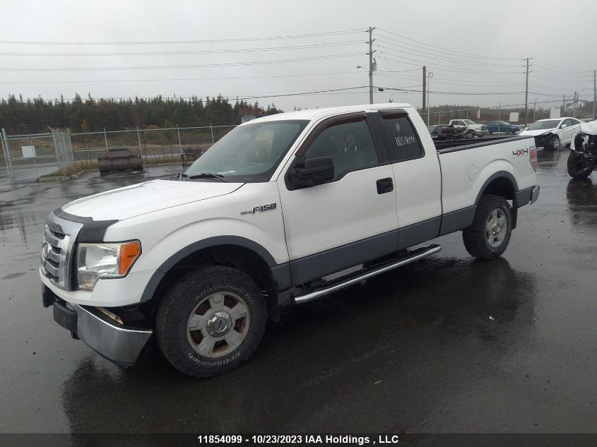 2011 Ford F-150 Xl/Stx/Xlt/Fx4/Lariat VIN: 1FTFX1EF1BFA97623 Lot: 11854099