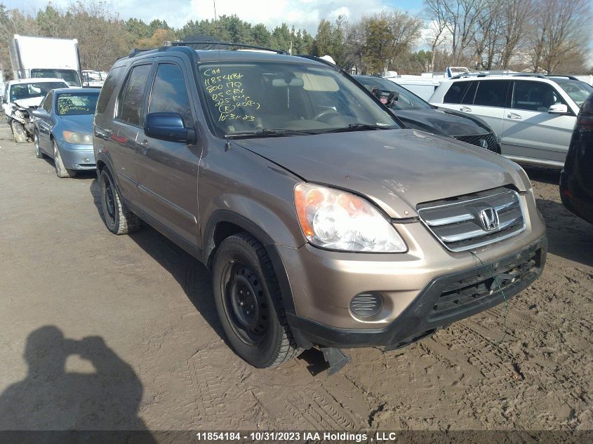 2005 Honda Cr-V Ex-L VIN: JHLRD78925C800170 Lot: 11854184