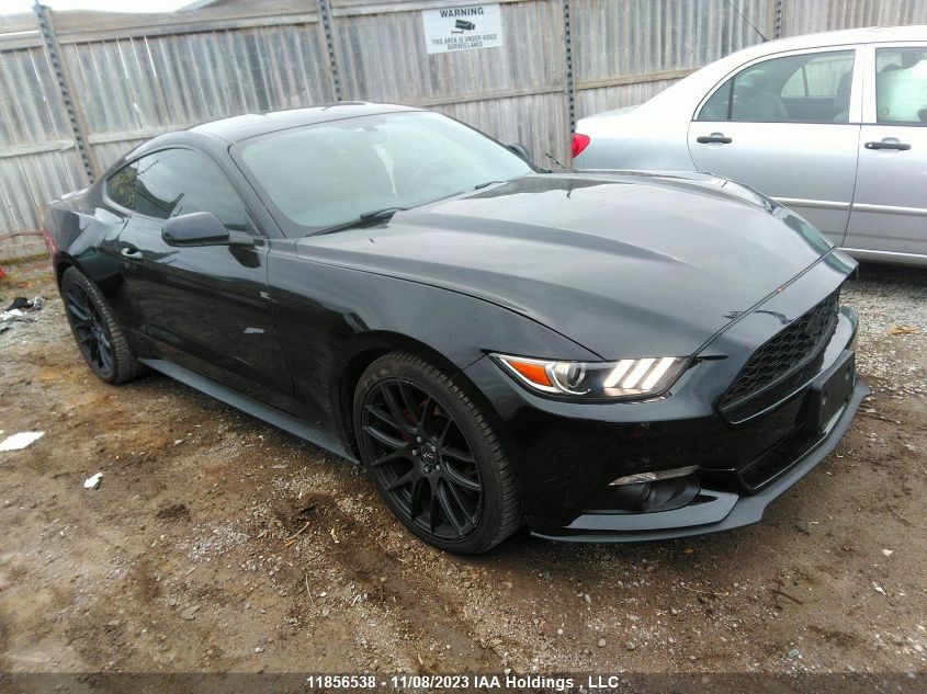 2017 Ford Mustang V6 VIN: 1FA6P8AM7H5299240 Lot: 11856538