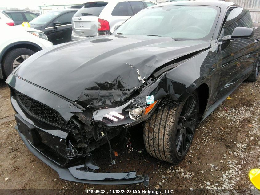 2017 Ford Mustang V6 VIN: 1FA6P8AM7H5299240 Lot: 11856538