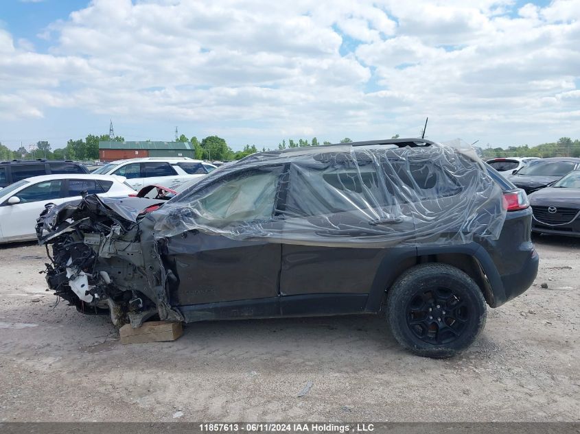 2019 Jeep Cherokee Trailhawk VIN: 1C4PJMBX7KD304578 Lot: 11857613