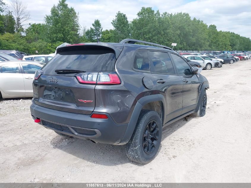 2019 Jeep Cherokee Trailhawk VIN: 1C4PJMBX7KD304578 Lot: 11857613