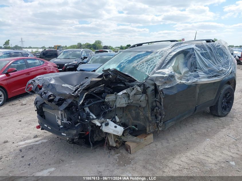 2019 Jeep Cherokee Trailhawk VIN: 1C4PJMBX7KD304578 Lot: 11857613