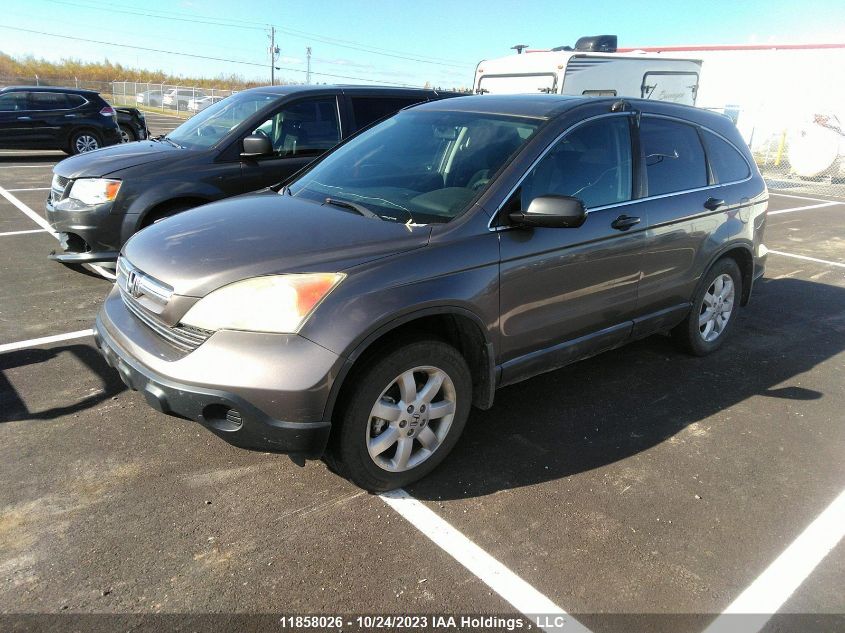 2009 Honda Cr-V Ex VIN: 5J6RE48509L814073 Lot: 11858026