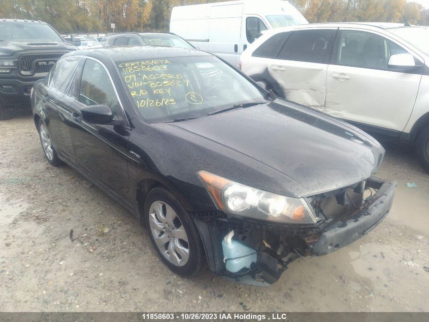 2009 Honda Accord Sedan Ex-L VIN: 1HGCP268X9A805627 Lot: 11858603