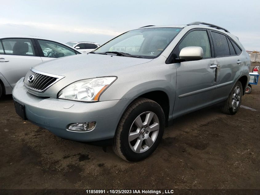 2009 Lexus Rx 350 VIN: JTJHK31U892051566 Lot: 11858991