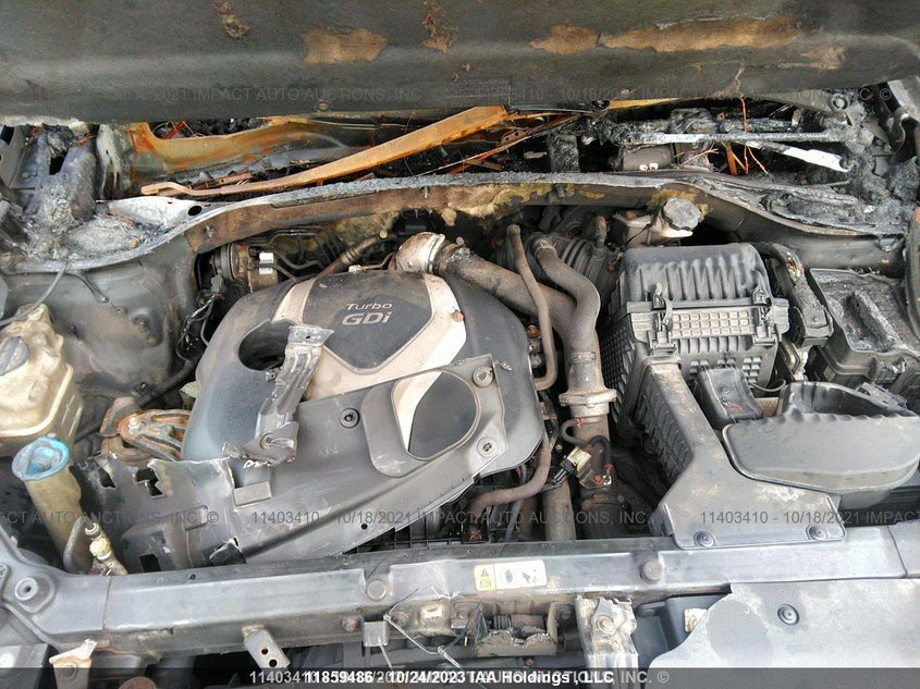 2013 Hyundai Santa Fe Premium VIN: 5XYZUDLA6DG010216 Lot: 11859486