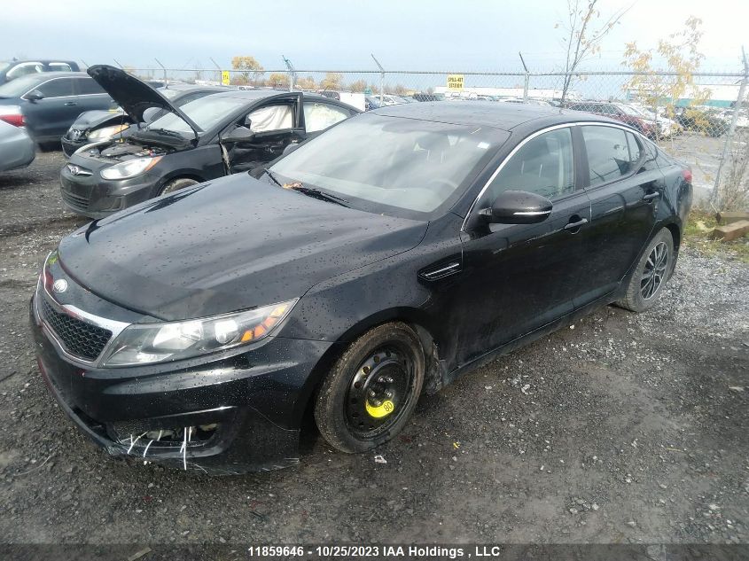 2013 Kia Optima VIN: KNAGM4A77D5402996 Lot: 11859646