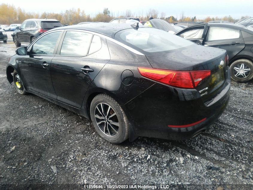 2013 Kia Optima VIN: KNAGM4A77D5402996 Lot: 11859646