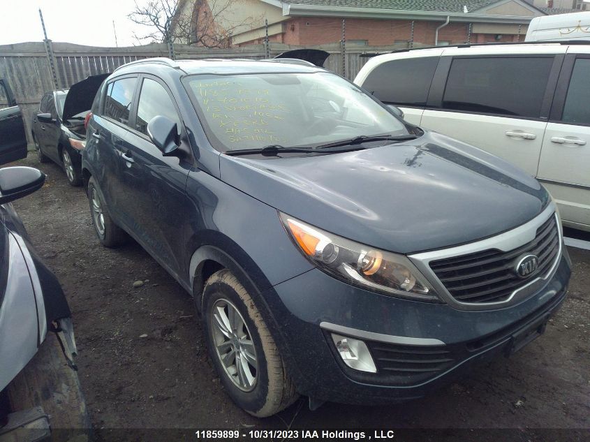 2013 Kia Sportage VIN: KNDPB3A22D7401010 Lot: 11859899