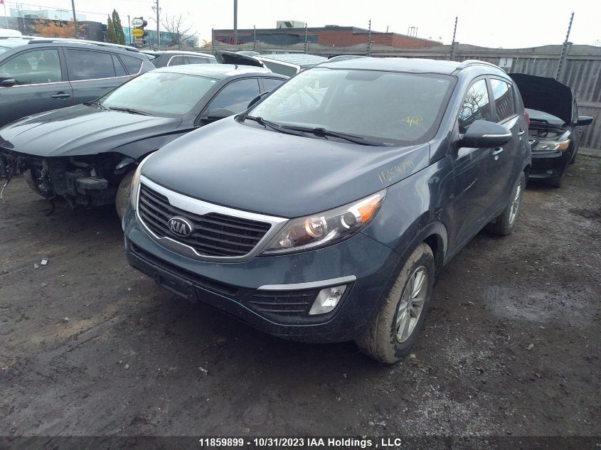 2013 Kia Sportage VIN: KNDPB3A22D7401010 Lot: 11859899