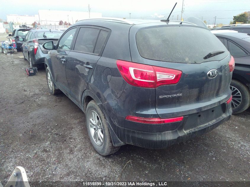 2013 Kia Sportage VIN: KNDPB3A22D7401010 Lot: 11859899