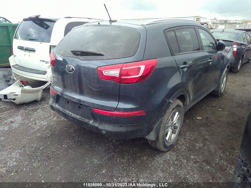 2013 Kia Sportage VIN: KNDPB3A22D7401010 Lot: 11859899