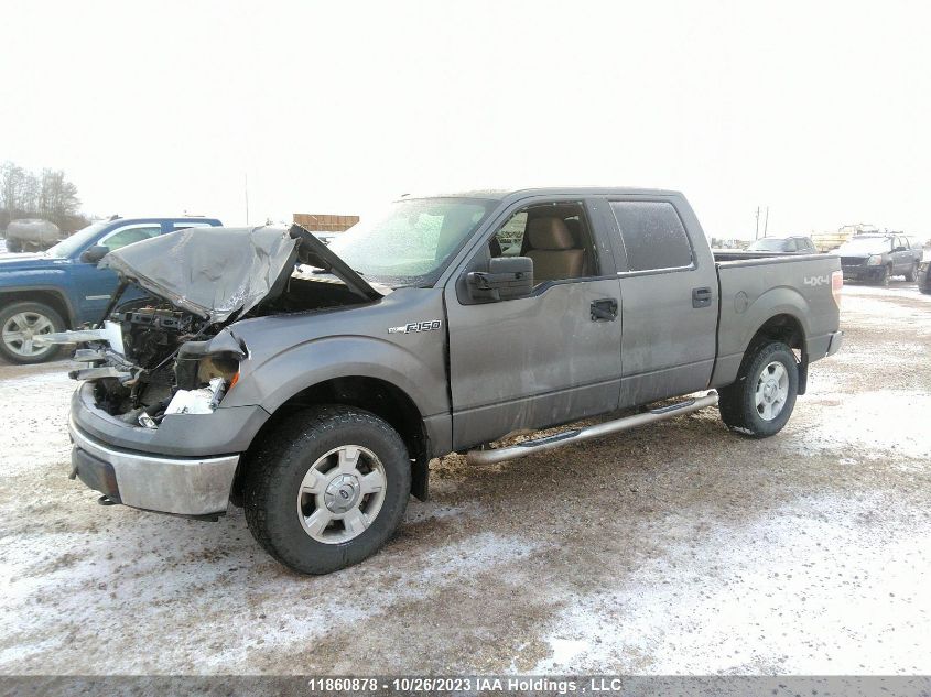 2010 Ford F-150 Xlt/Fx4/Lariat VIN: 1FTFW1EV0AFA24297 Lot: 11860878